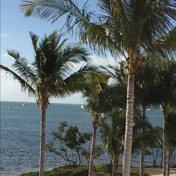 Meet your Posher, Theresa - Picture 1 of 1